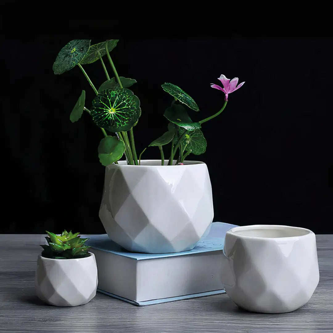 Comforttt™  Ceramic Pots