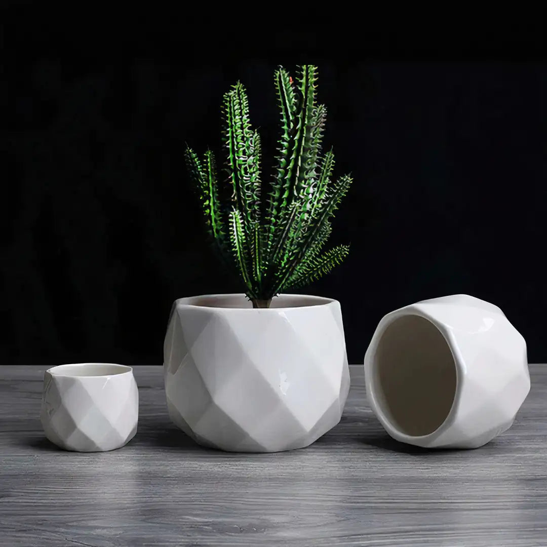 Comforttt™  Ceramic Pots